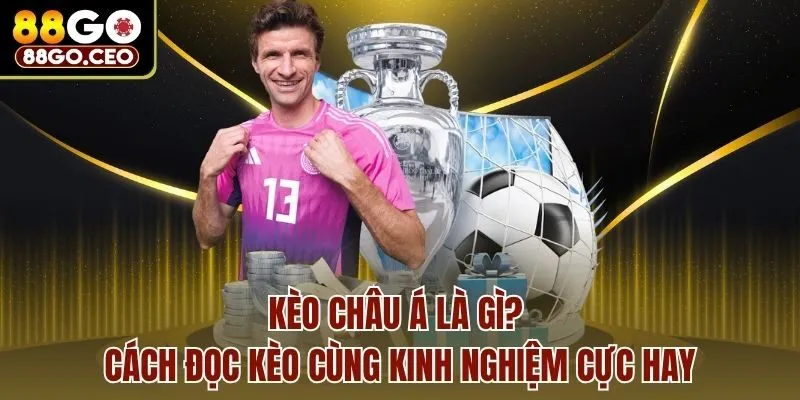 Kèo Châu Á Là Gì? Cách Đọc Kèo Cùng Kinh Nghiệm Cực Hay