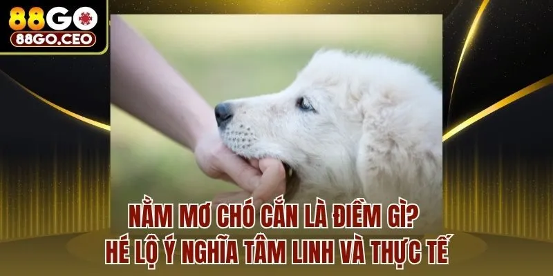 Nằm Mơ Chó Cắn Là Điềm Gì? Hé Lộ Ý Nghĩa Tâm Linh Và Thực Tế
