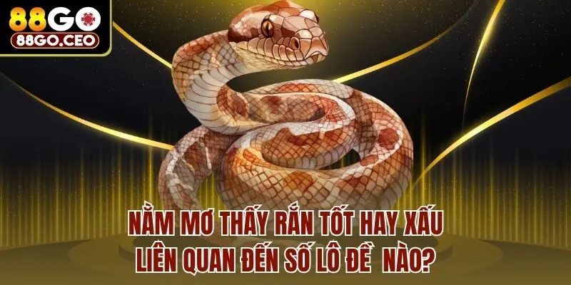 Nằm Mơ Thấy Rắn Tốt Hay Xấu, Liên Quan Đến Số Lô Đề Nào?